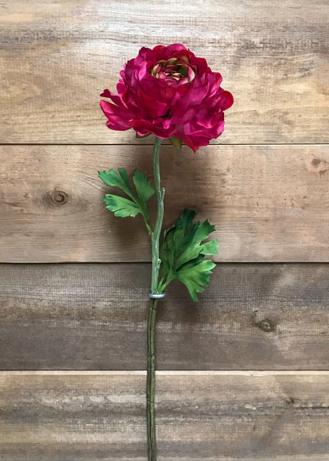 Rose Ranunculus Stem