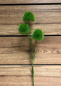 Allium Bud Spray - Green