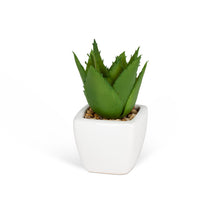 Load image into Gallery viewer, Succulent in Tapered Pot
