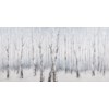 Canvas - Winter Birch Trees