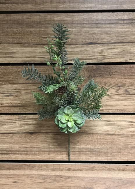 Winter Stem: Frosted Mixed Pine & Succulent 17.5
